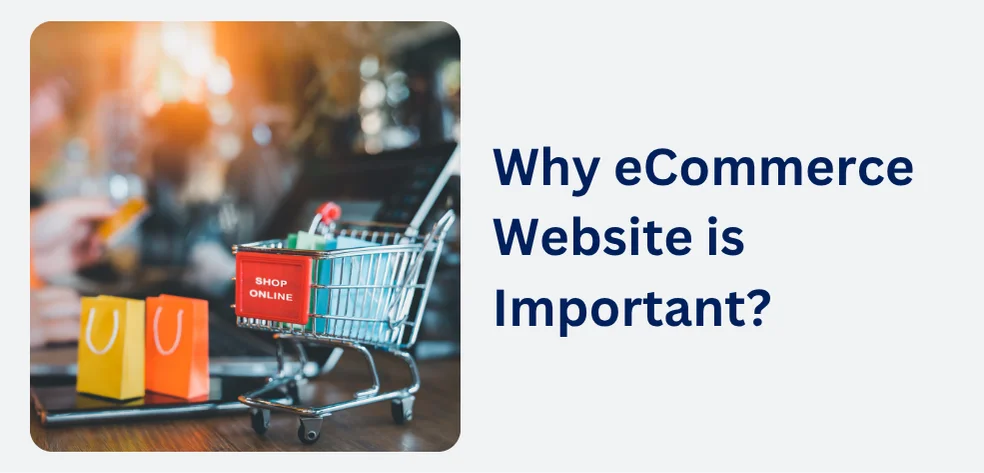 Why eCommerce Website is Important?